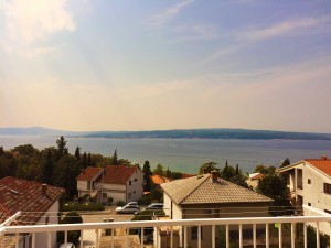 IMG_8985 2_compressed