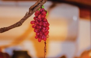 ckn300_associated_02