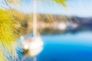 dreamstime_xxl_60003511_compressed